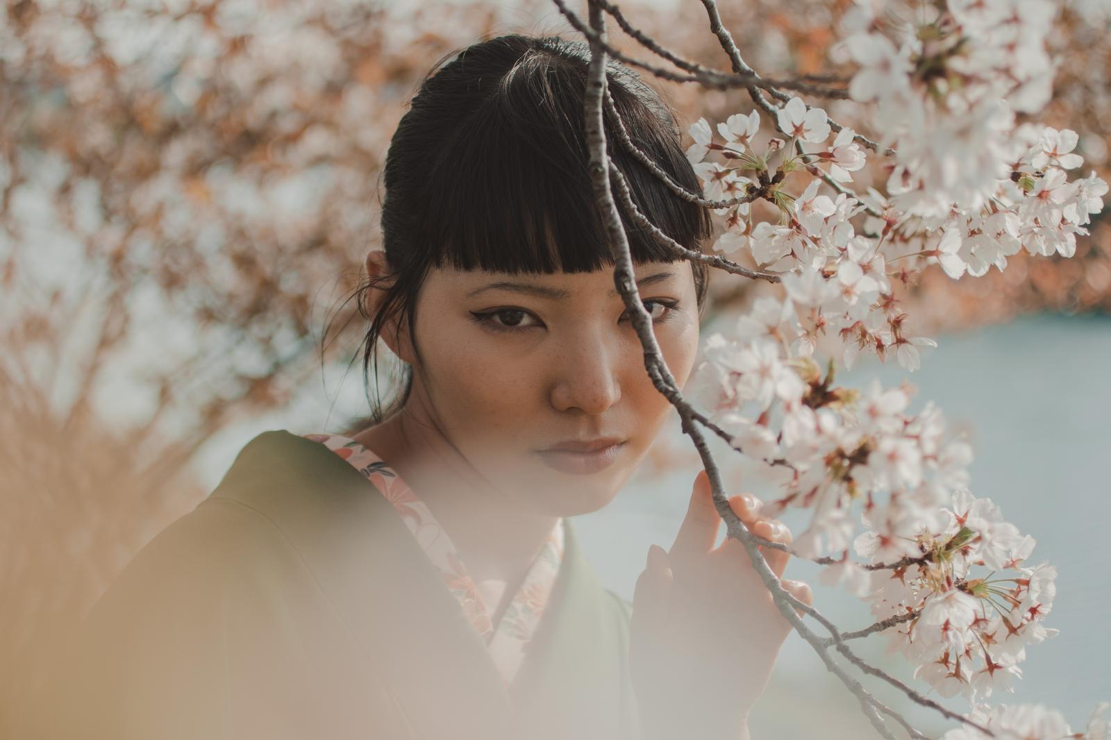 桜の枝に囲まれた和装姿の女性がカメラを見つめている［モデル：なんこ］