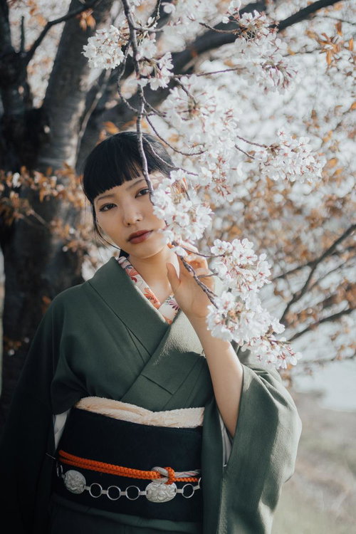 桜と着物女子のポートレート