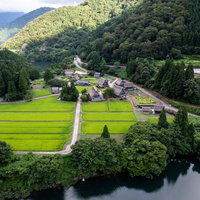 緑の田畑に囲まれた菅沼集落と合掌造りの家屋（富山県南砺市）の写真