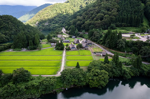 緑の田畑に囲まれた菅沼集落と合掌造りの家屋（富山県南砺市）