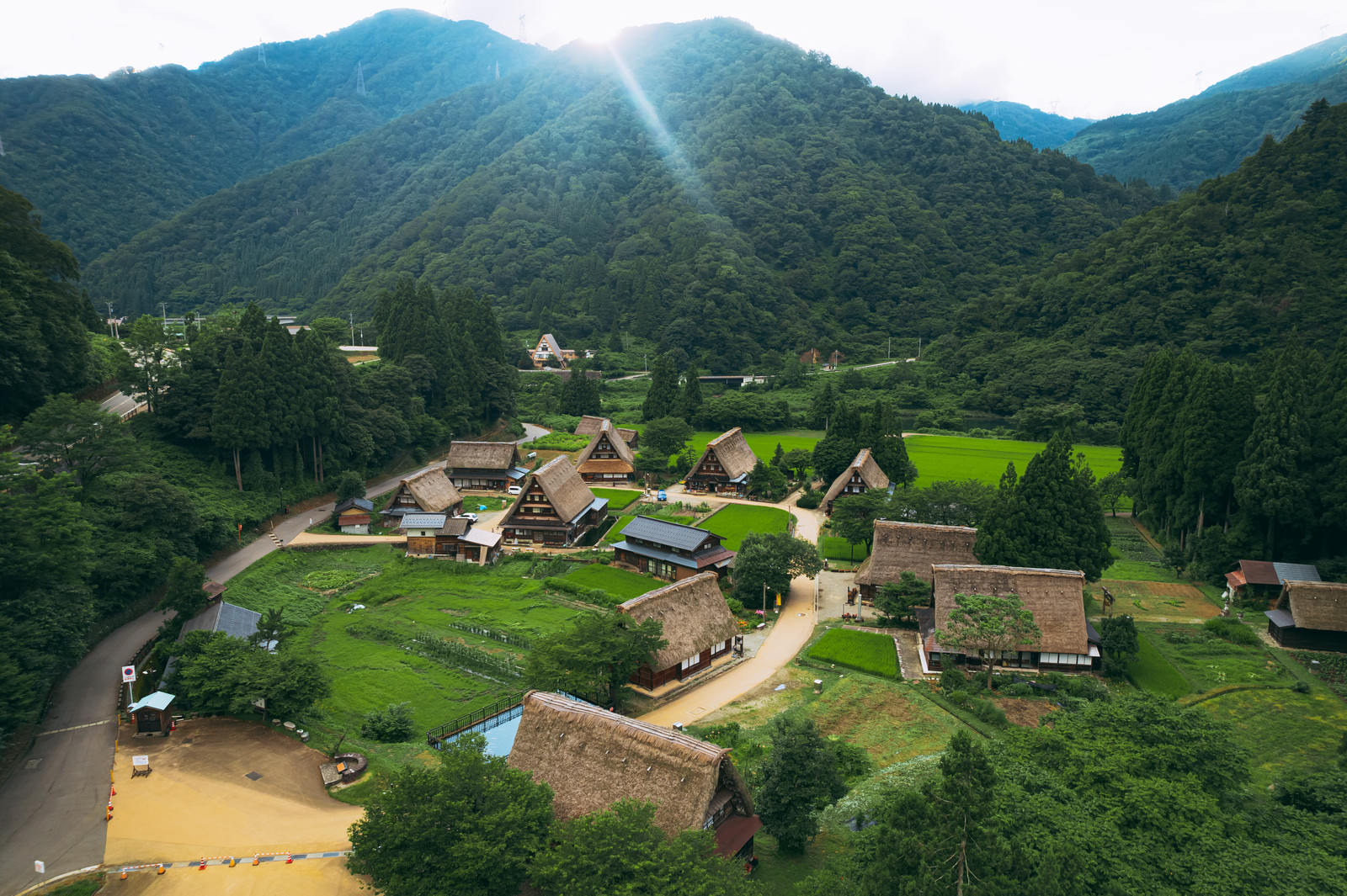緑豊かな山間に点在する茅葺屋根の合掌造り家屋群