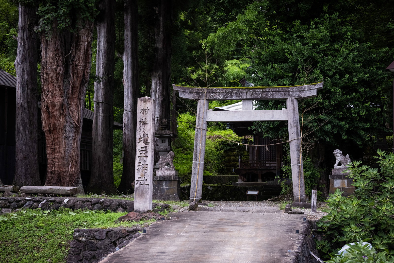 相倉集落の緑豊かな境内に立つ石の鳥居と奥に見える村社地主神社