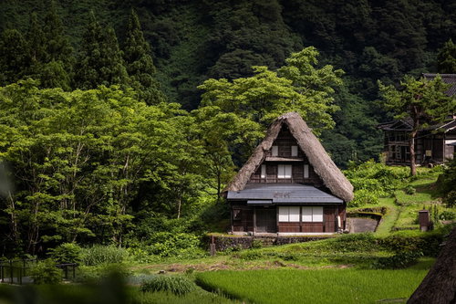相倉合掌造り集落の茅葺き屋根が印象的な一軒家