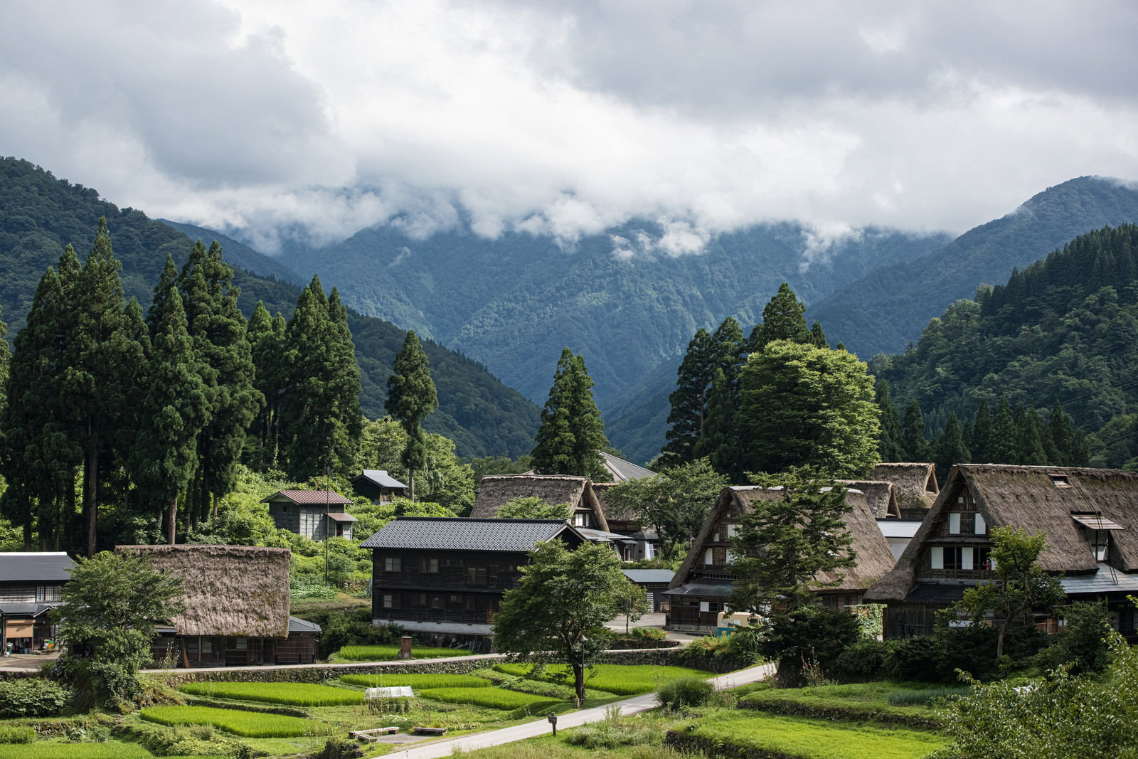 雲がかかる山々を背景に茅葺き屋根の合掌造り家屋が点在する相倉集落と棚田の風景