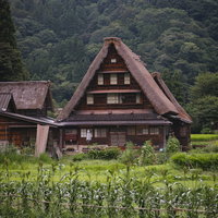 緑の田畑が広がる南砺市菅沼集落の合掌造りの家の写真