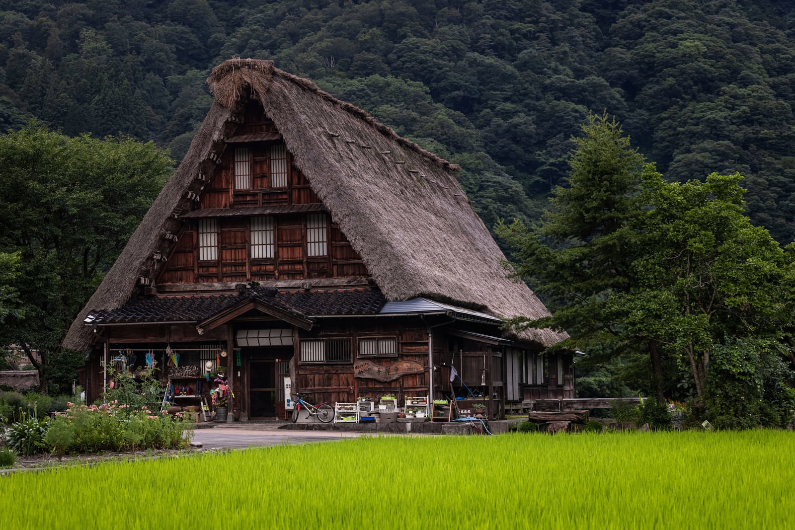 山間の緑豊かな環境に建つ茅葺屋根の合掌造りの家