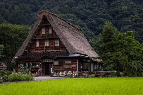 緑に囲まれた菅沼集落の合掌造りの家と山間の田園風景