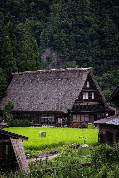 茅葺屋根がある合掌造りの建物と田舎の集落風景