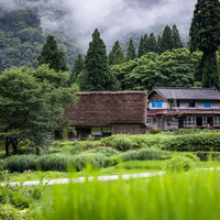 緑に包まれた世界遺産・相倉集落の合掌造りの写真