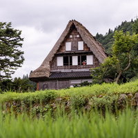 緑の田んぼと茅葺き屋根の合掌造りの家が建つ相倉集落の写真