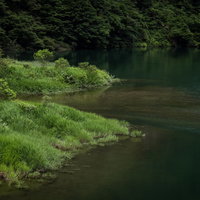 菅沼の庄川と新緑が映える河原の清流風景の写真