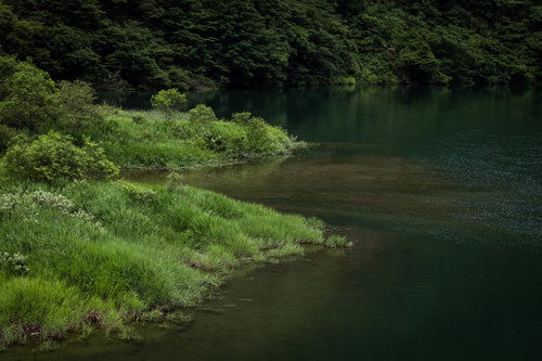 菅沼の庄川と新緑が映える河原の清流風景