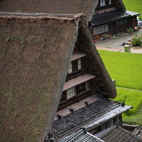 山間に建ち並ぶ合掌造りの家屋と菅沼集落の伝統的景観の写真