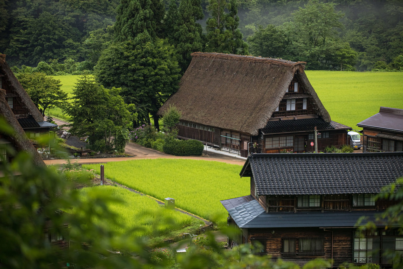 緑の山間に茅葺き屋根の合掌造り家屋と田畑が広がる五箇山菅沼集落