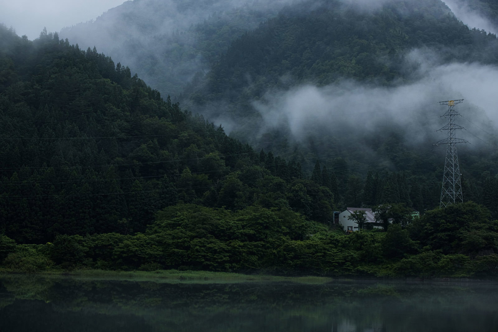 霧が立ち上る山間の静かなダム湖と深緑の森林