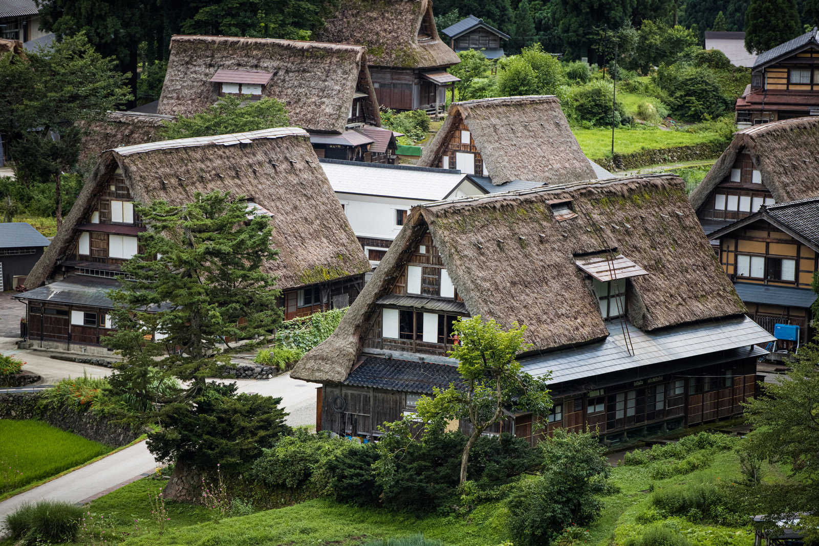 茅葺き屋根の合掌造り家屋が山間の緑地に点在する相倉集落の風景