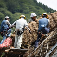 南砺市の合掌造り村上家で行われる茅葺屋根の葺き替え工事の写真