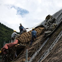 南砺市村上家の合掌造り葺き替え工事中の作業員の写真