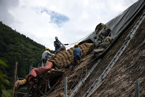南砺市村上家の合掌造り葺き替え工事中の作業員