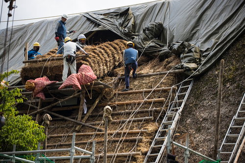 南砺市の合掌造り・村上家で茅葺屋根を葺き替えする職人たち