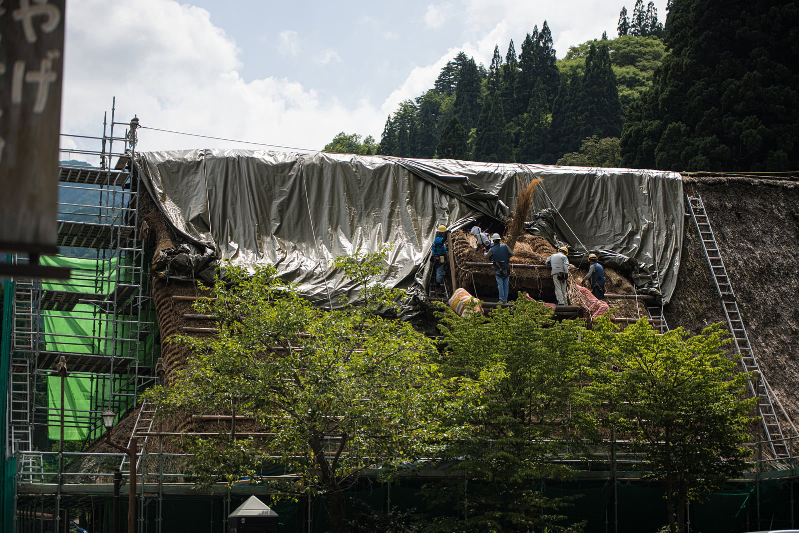 合掌造りの茅葺き屋根で葺き替え工事を行う職人たち
