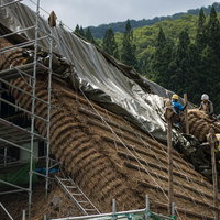 南砺市の村上家で行われる茅葺屋根の葺き替え工事と足場の写真