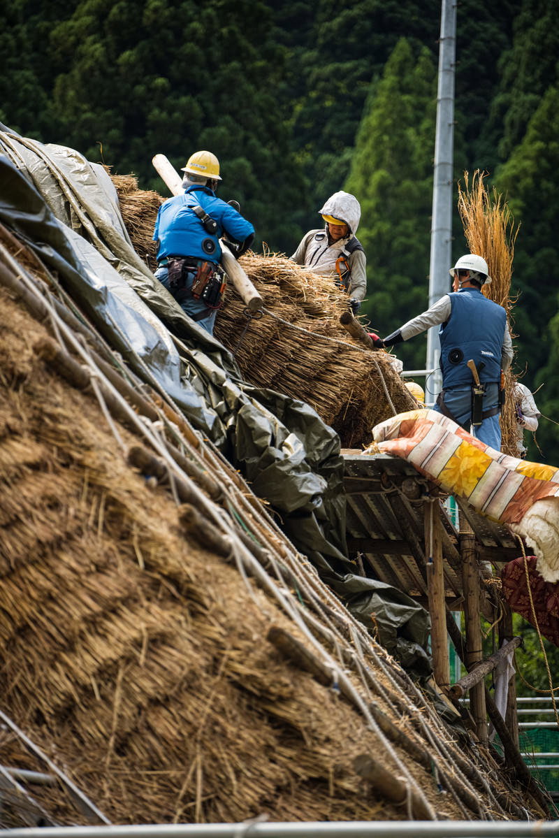 茅葺屋根の葺き替え工事中、青いヘルメットの職人たちが急勾配の屋根で作業している