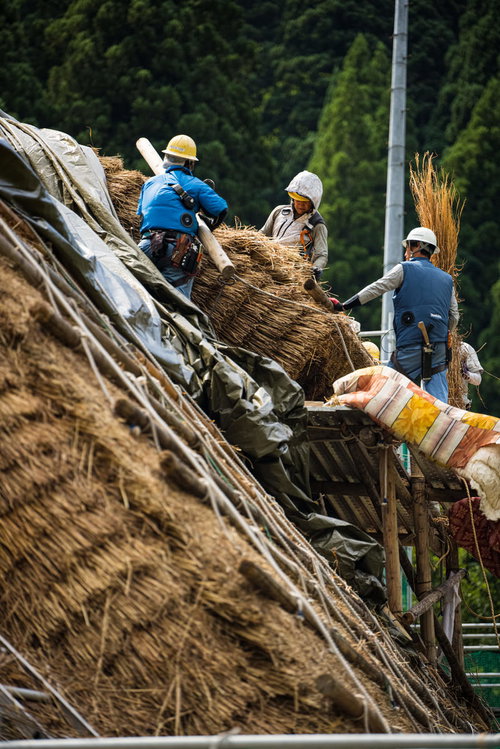 南砺市村上家の茅葺屋根葺き替え工事中の職人たち