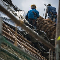 屋根に上がる茅葺職人による葺き替え工事の伝統技術の写真