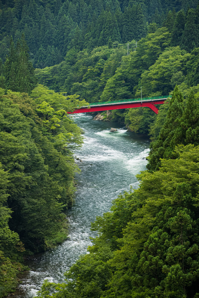 深緑の峡谷を流れる庄川の上に架かる赤い橋の風景
