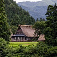 深い緑に囲まれた菅沼合掌造り集落の茅葺き家屋の写真