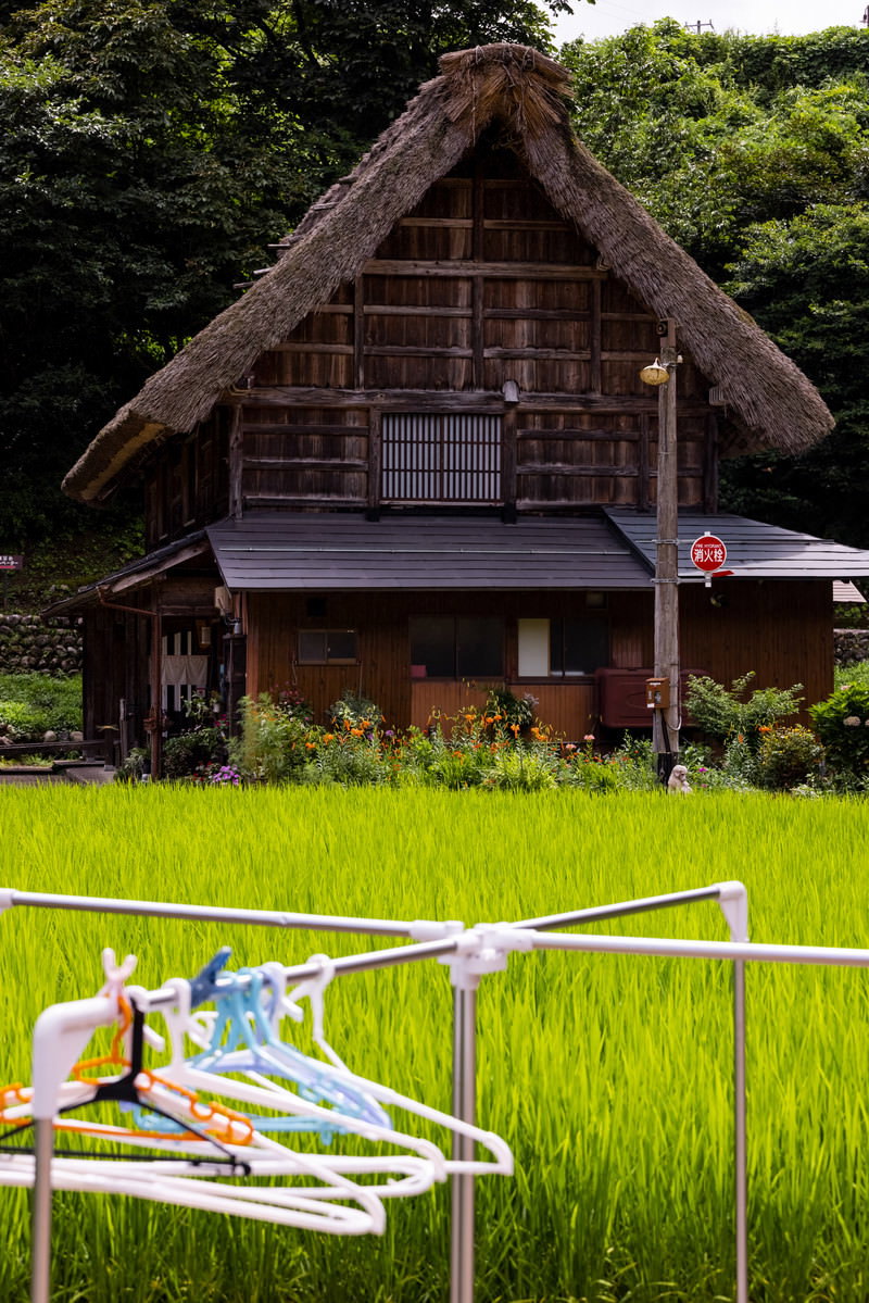 田んぼの前に設置された白い物干し台と背景の合掌造りの古民家