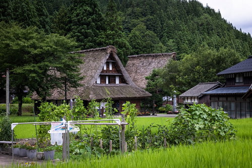 生活感ある田舎の情景、菅沼合掌造り集落の田園風景