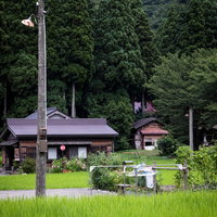 レトロな木製電柱が立つ五箇山菅沼合掌造り集落の写真
