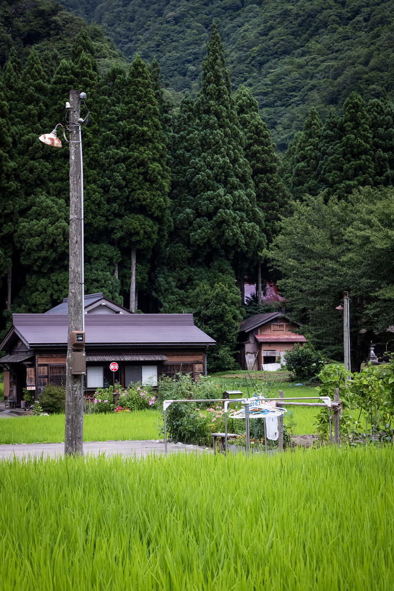 緑豊かな山間部の田んぼと合掌造り建物、木製電柱が印象的な五箇山菅沼集落