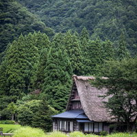 緑の渓谷に佇む五箇山合掌造り集落（菅沼集落）の写真