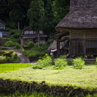 青々とした田んぼが広がる相倉集落の合掌造りの写真