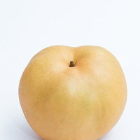 白い背景に置かれた和梨（一個）の写真の写真