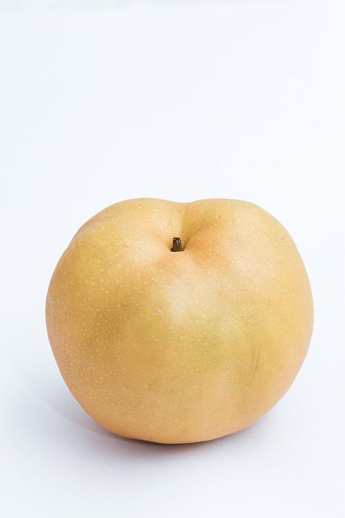 白い背景に置かれた和梨（一個）の写真