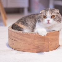 きたか...！！ガタッの写真