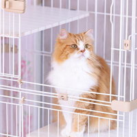 白とオレンジの毛並みをしたゲージに入った猫の写真