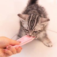 ピンク色のちゃおちゅ～るを夢中で食べる子猫の写真