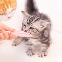 ちゃおちゅ～るをかじる子猫たちのタイムアタックの写真