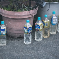 民家の前に一列に並ぶ猫よけのペットボトルの写真