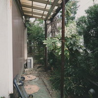 引っ越して誰も住んでいない昭和の一軒家の庭の写真