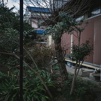 雨戸が閉まった空き家と草木が生い茂った庭の写真