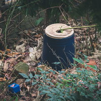 手入れされないひっくり返った植木鉢が朽ちる森の中の写真