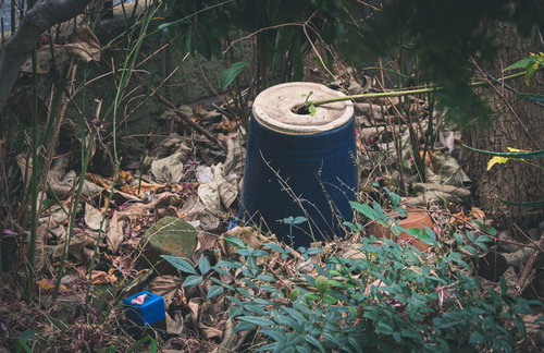 手入れされないひっくり返った植木鉢が朽ちる森の中