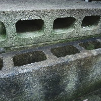 汚れや苔が付着した汚いブロック塀の写真