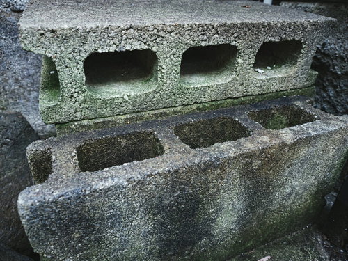 汚れや苔が付着した汚いブロック塀